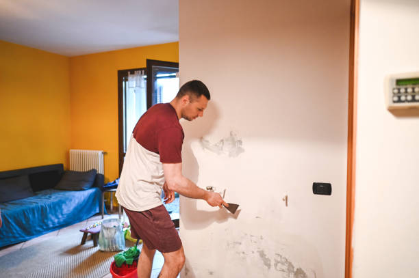 Best Mold Inspection  in Hayfield, MN
